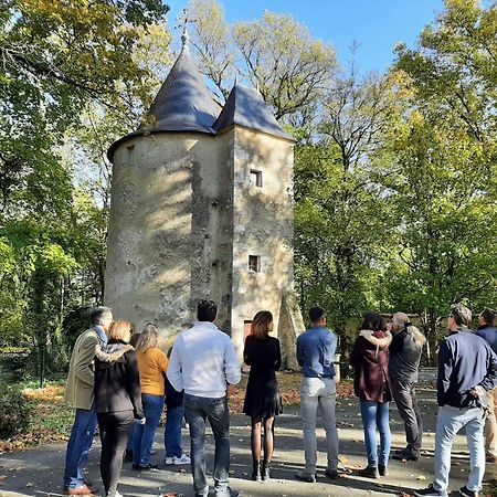 Chateau De Mornay Saint-Pierre-de-l'Isle Eksteriør bilde
