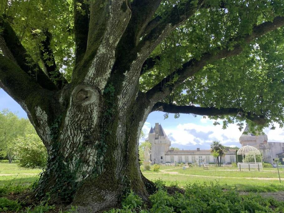 Chateau De Mornay Saint-Pierre-de-l'Isle Eksteriør bilde